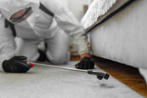 Professional Mosquito Control technician working in Trinity, TX