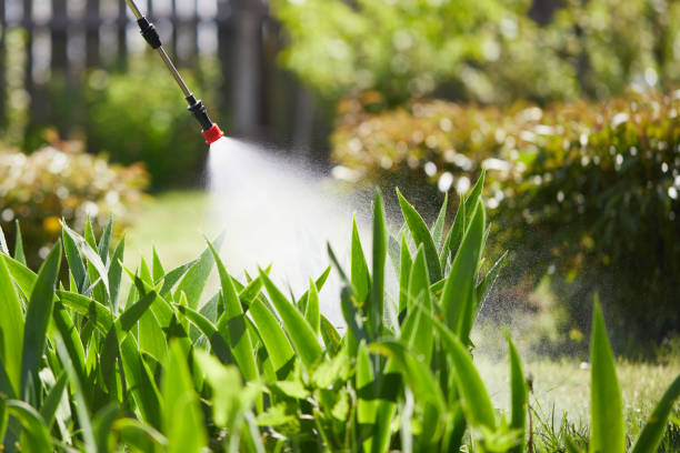 24/7 Emergency Mosquito Control experts in Trinity, TX