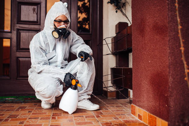 Reliable Mosquito Control contractor in Trinity, TX by Nex Pest Control