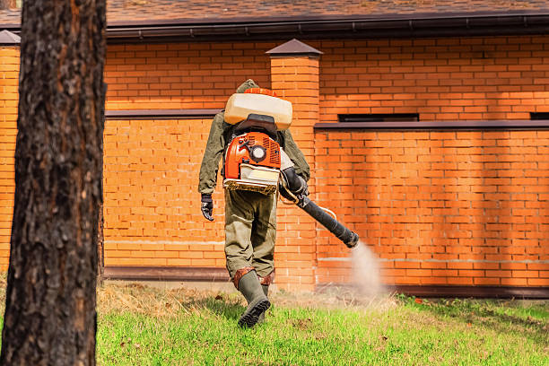 Top rated local Mosquito Control specialists in Trinity, TX